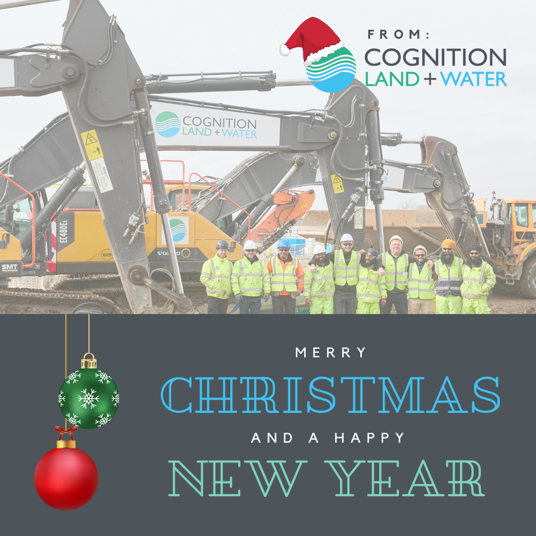 Merry Christmas and Happy New Year from All Of Us at Cognition!